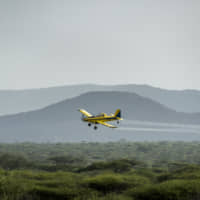 A plane spraying pesticides flies over a swarm of desert locusts in Nasuulu Conservancy, northern Kenya, Saturday. | AP