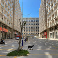 A dog wanders among apartment blocks in Sihanoukville\'s Chinatown district on Sunday. | REUTERS