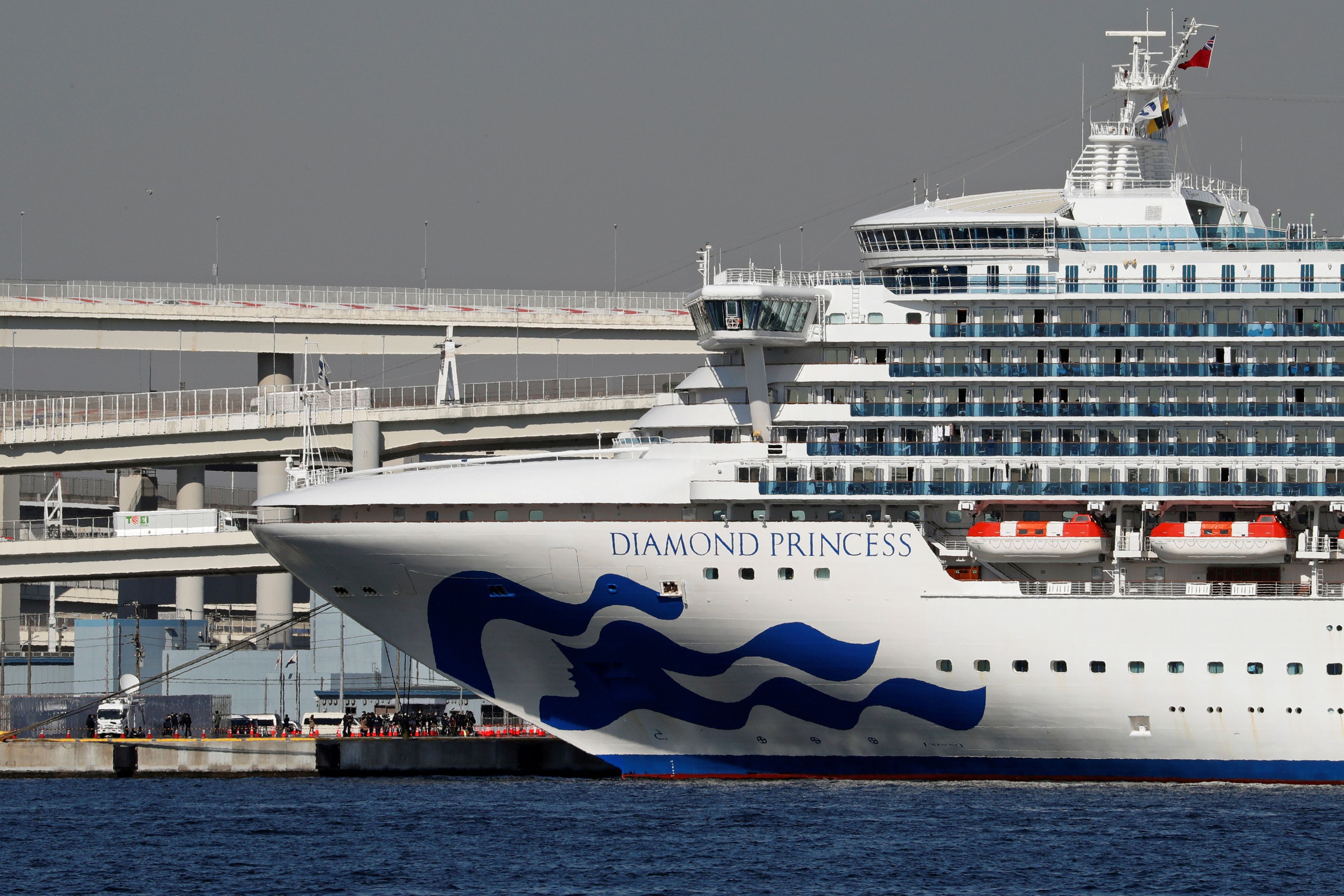 44 more on Diamond Princess cruise ship test positive for COVID-19