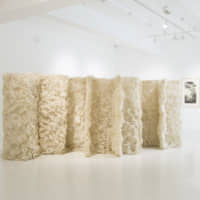 Tomomi Hanzawa\'s \"Some rooms\" (2018) | TOCHIGI PREFECTURAL MUSEUM OF FINE ARTS