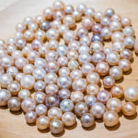 Value of freshwater pearls online