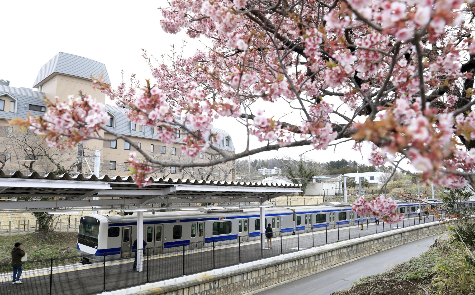A train stops at Ono Station on the Joban Line in the town of Okuma, near the crisis-hit Fukushima No. 1 nuclear plant, on Saturday as the long-suspended train line connecting Tokyo and Miyagi Prefecture fully resumes service. | KYODO
