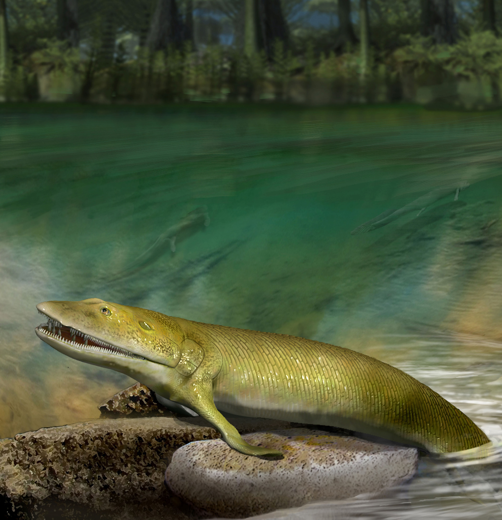 Fins of prehistoric fish reveal origins of the human hand - The