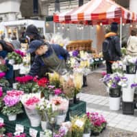 Kitanodai Kaihatsu is a purveyor of naturally grown rice, vegetables, fruits and flowers. Its booth at Hills Marche is a riot of color, with a staggering 100-plus flower varieties on show at any given time. | ATSUMI FASHION CO.