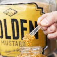 Magic mustard: Also at Taiyou no Marche, the mustard seeds in this jar look like golden caviar. The Japanese-made mustard is a collaboration between two chefs — specialists in French and Japanese cuisine, respectively — and a sommelier. It goes well with any cuisine and also makes a delicious snack. | ATSUMI FASHION CO.