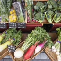 Urban agriculture: On its 2 hectares of land in Kokubunji, western Tokyo, Kosaka Noen grows over 100 types of vegetables, including local heirloom varieties. At Hills Marche, Kosaka sells 15 to 30 kinds of vegetables in season. | ATSUMI FASHION CO.