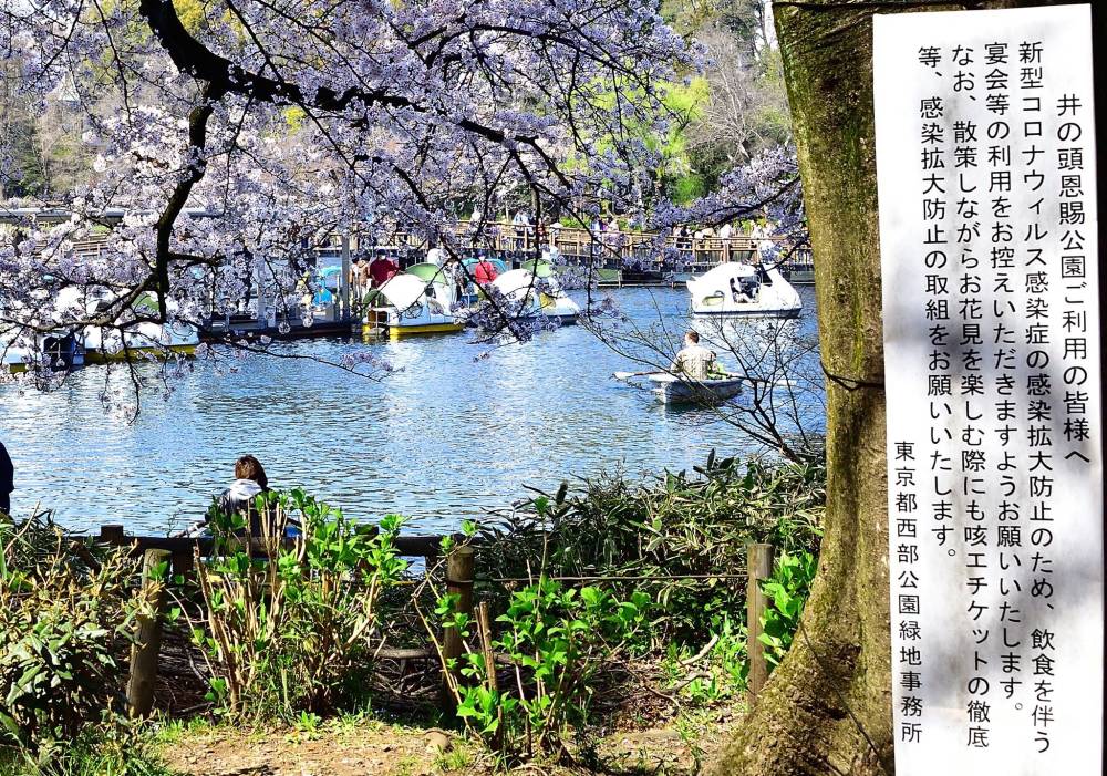 Sign of the times: Placards asking people to refrain from having drinking parties in Tokyo's Inokashira Park have been as commonplace this year as the country's iconic cherry blossoms. | YOSHIAKI MIURA