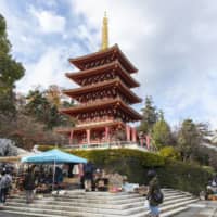 A storied history: The pagoda at Takahata Fudoson Kongoji temple.