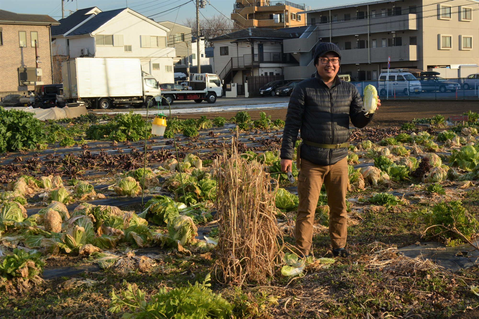 Japan Times