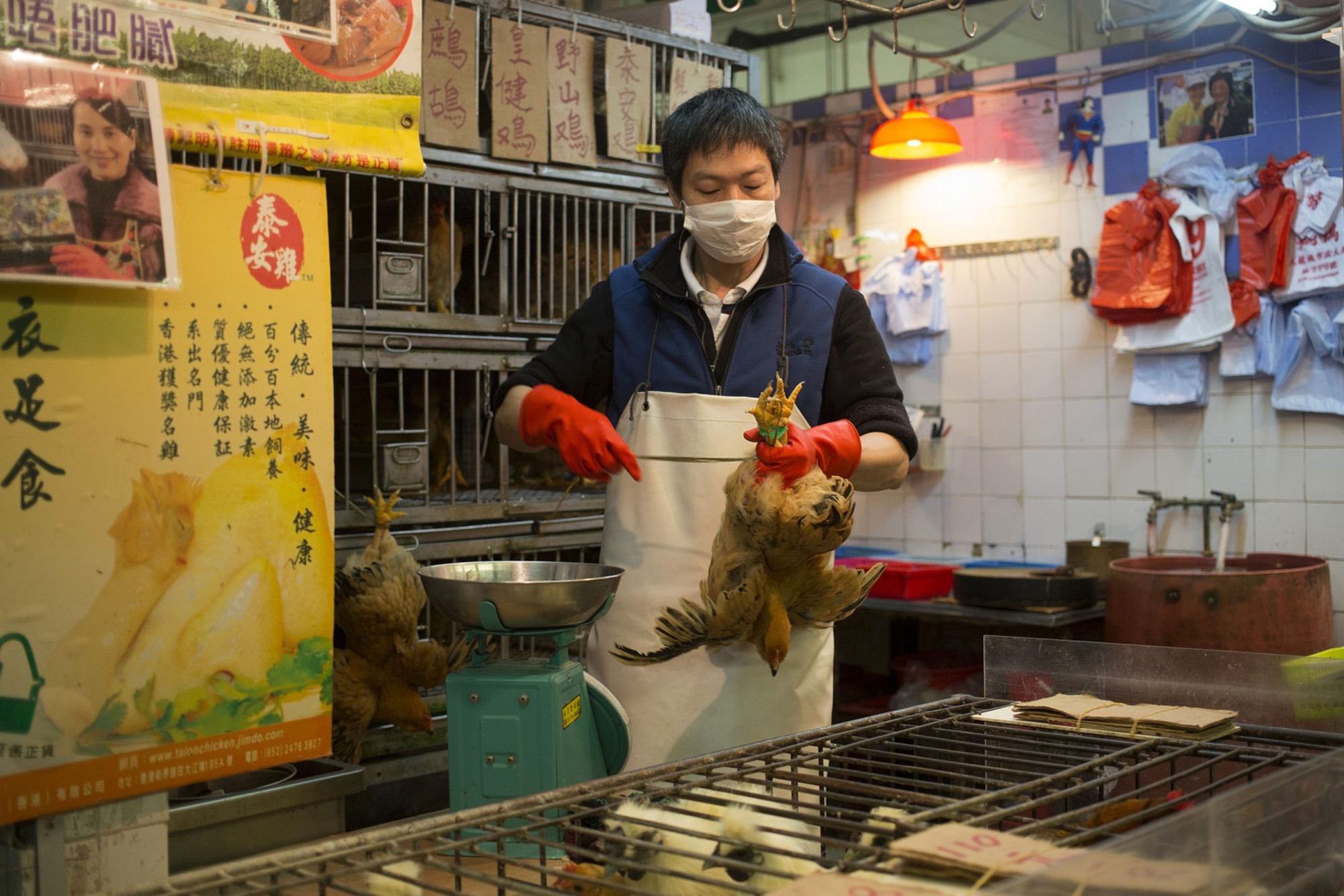 WHO says animal markets like in Wuhan should not be shut down