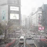 Few could be seen at the normally crowded Shibuya Crossing on Sunday after Tokyo Gov. Yuriko Koike urged people to avoid nonessential travel over the weekend. | RYUSEI TAKAHASHI
