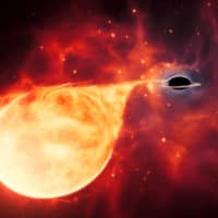 An artist\'s illustration shows a star being torn apart by an intermediate-mass black hole, surrounded by an accretion disc. This thin, rotating disc of material consists of the leftovers of a star that was ripped apart by the tidal forces of the black hole.  | ESA / HUBBLE / M. KORNMESSER / VIA REUTERS