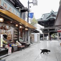 No tourist is seen at at Shibamata Taishakuten Temple in Katsushika Ward, Tokyo, on Sunday. | KYODO