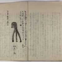 An illustration of Amabiko | FUKUI PREFECTURAL ARCHIVES