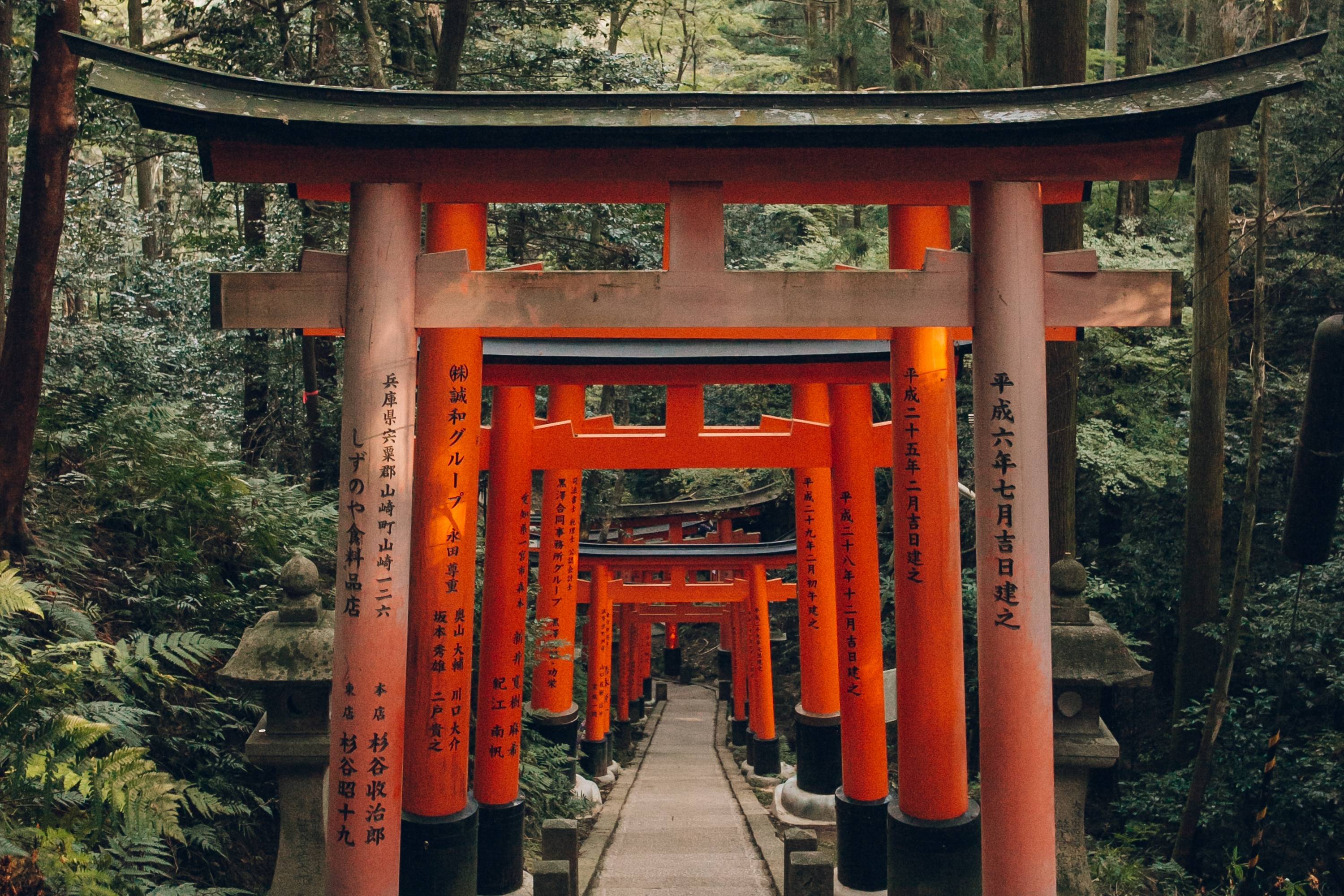 The Fushimi Inari Taisha shrine in Kyoto is one of Japan's most photogenic places to visit. | COURTESY OF HAARKON ADVENTURES