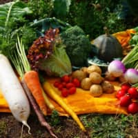 Cornucopia: Getting a vegetable box delivered to your door is a great way to avoid making trips to the supermarket while also supporting local farmers. | COURTESY OF SHO FARM

