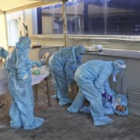 Health workers assist a colleague who fainted due to exhaustion and long working hours at a COVID-19 testing camp in New Delhi on Monday.  | AP