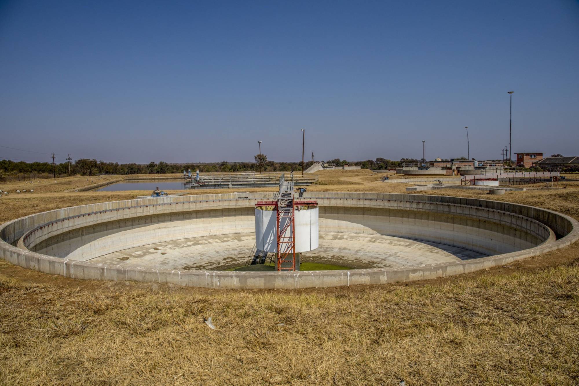 A sewer treatment pool in Bulawayo, Zimbabwe. Experts in the field — known as wastewater epidemiology — say that as countries begin to ease pandemic lockdown restrictions, searching sewage for signs of the SARS-CoV-2 coronavirus could help them monitor and respond to flare-ups. | BLOOMBERG