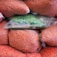 Bags of methamphetamine pills are pictured during the 49th Destruction of Confiscated Narcotics ceremony in Ayutthaya province, Thailand, on June 26, 2019. | REUTERS