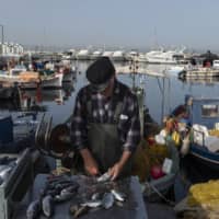 A fisherman cleans fish at a near Athens on Thursday. The European Union’s executive arm pushed for a continent-wide revival of tourism with a series of policy recommendations for EU countries as they loosen lockdowns triggered by the coronavirus pandemic. | BLOOMBERG