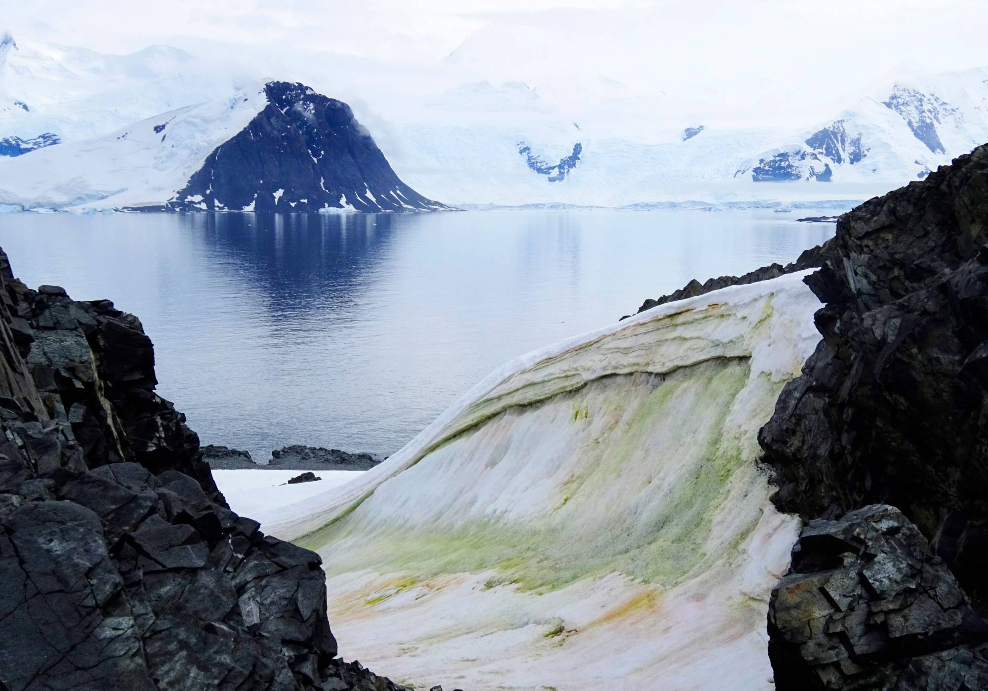 This photo released by the University of Cambridge on Wednesday that was taken in 2018 shows multicolored snow algae on Anchorage Island, in Antarctica.  | DR. MATT DAVEY / UNIVERSITY OF CAMBRIDGE / SAMS / VIA AFP