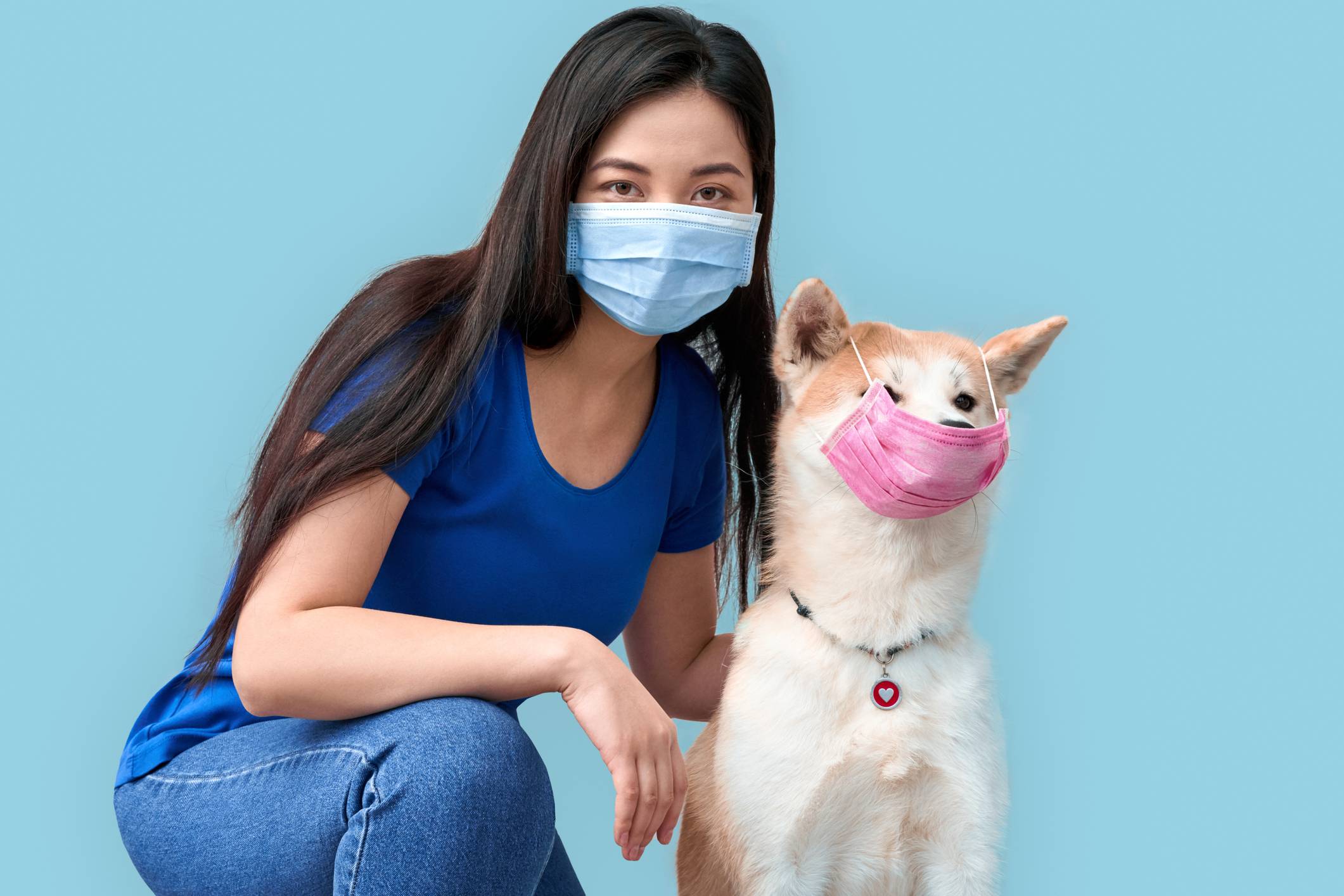 Taking precautions: Scientists haven’t been able to confirm the role any animal plays in a human virus. | GETTY IMAGES