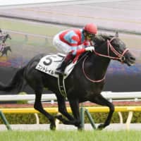 Contrail wins the Japanese Derby on Sunday at Tokyo Racecourse. | KYODO