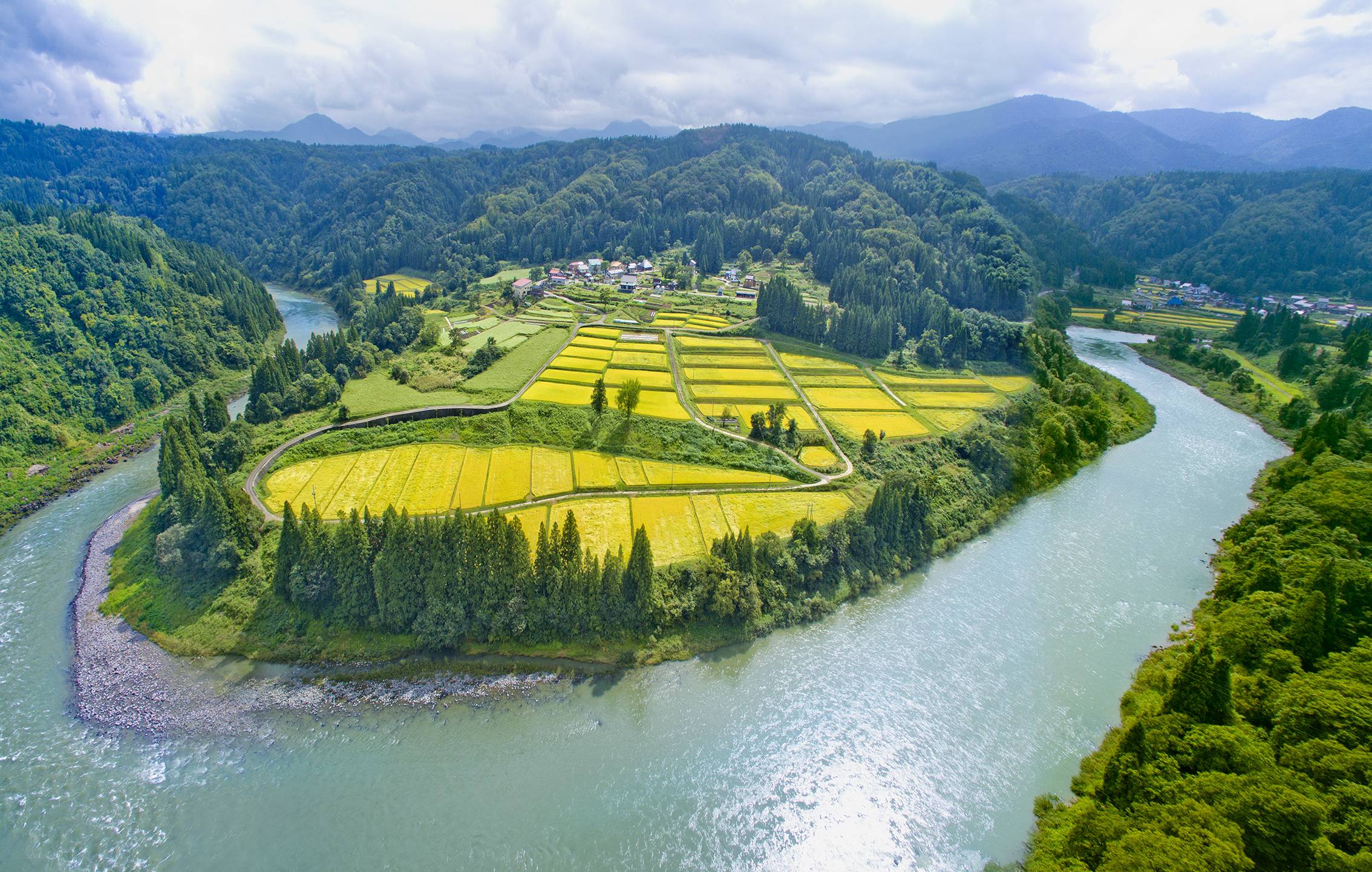 Hometown: The hamlet of Kotaki embodies an idyllic rural scene known as satoyama. The golden rice paddies are ready for harvest.