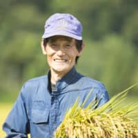 Terroir: Kotaki rice is the pride of local farmers. Grains are not too big, and remain sweet and delicious even when cooled after cooking. Factors such as soil and climate impart distinctive characteristics to rice, as they do with wine.
