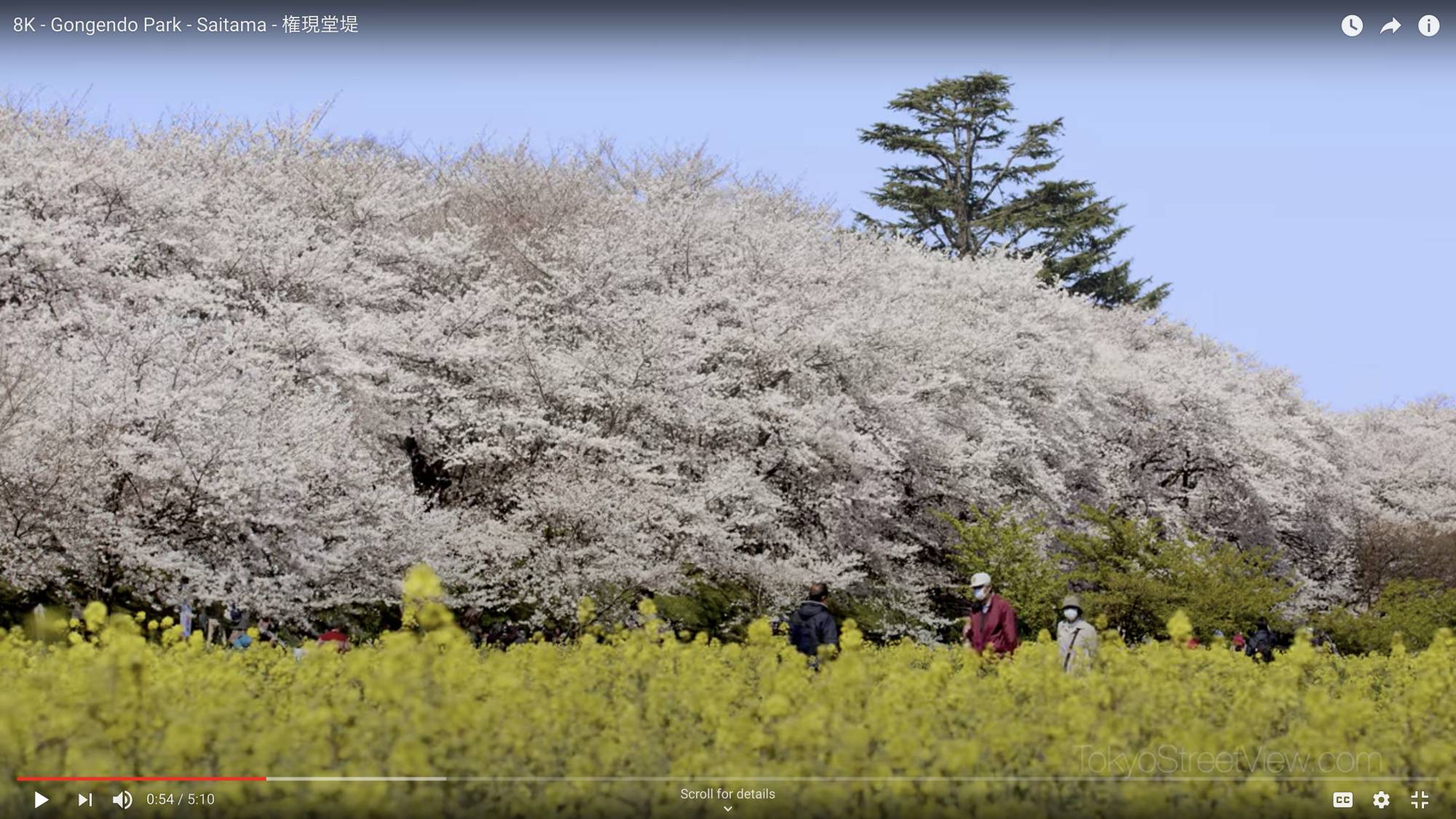 Tokyo Street View has become one of several Japan-centric channels offering an escape to those stuck at home due to the COVID-19 pandemic. | TOKYO STREET VIEW / VIA YOUTUBE
