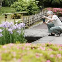 A visitor takes photos of flowers in the East Gardens of the Imperial Palace after it reopened to the public on Tuesday. | KYODO