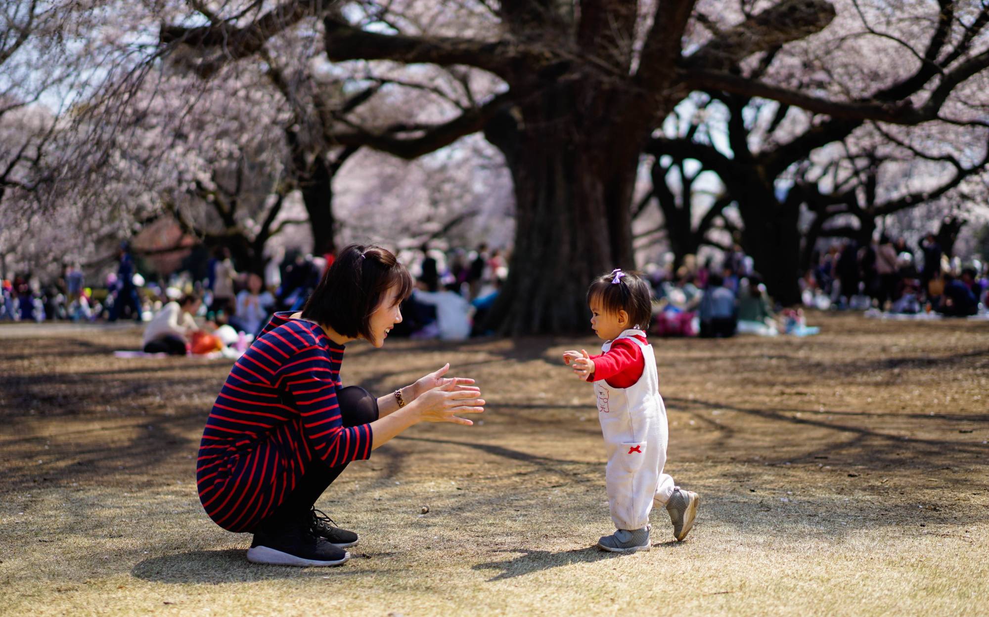 Japan Times