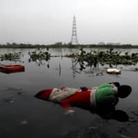 India s Yamuna River regains sparkle as coronavirus lockdown