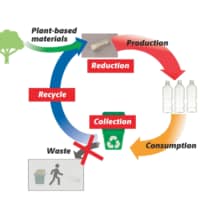 Sustainable PET bottle production concept | SUNTORY HOLDINGS LTD.