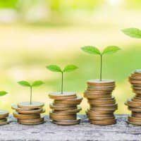 green plant leaves growing on coin stacking money saving business finance success wealth investment budget concept. stack coin on wood table with green blur background.