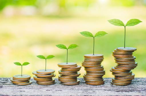 green plant leaves growing on coin stacking money saving business finance success wealth investment budget concept. stack coin on wood table with green blur background.