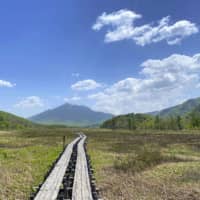 The deserted Oze National Park in early June | THE OZE PRESERVATION FOUNDATION / VIA KYODO