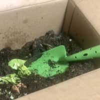 Rich soil: The author’s composting project just before stirring in the day’s food scraps | JANE KITAGAWA
