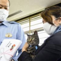 Tomoko Nitta and her cat Koko are honored by local police in the city of Toyama on Saturday for rescuing a man who had fallen into an irrigation channel. | KYODO