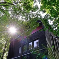 Nature-inspired: Photographer and cut-paper artist Mitsuhiko Imamori\'s rural studio is surrounded by trees. | MITSUHIKO IMAMORI
