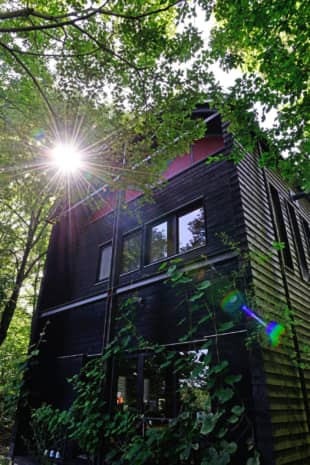 Nature-inspired: Photographer and cut-paper artist Mitsuhiko Imamori's rural studio is surrounded by trees. | MITSUHIKO IMAMORI