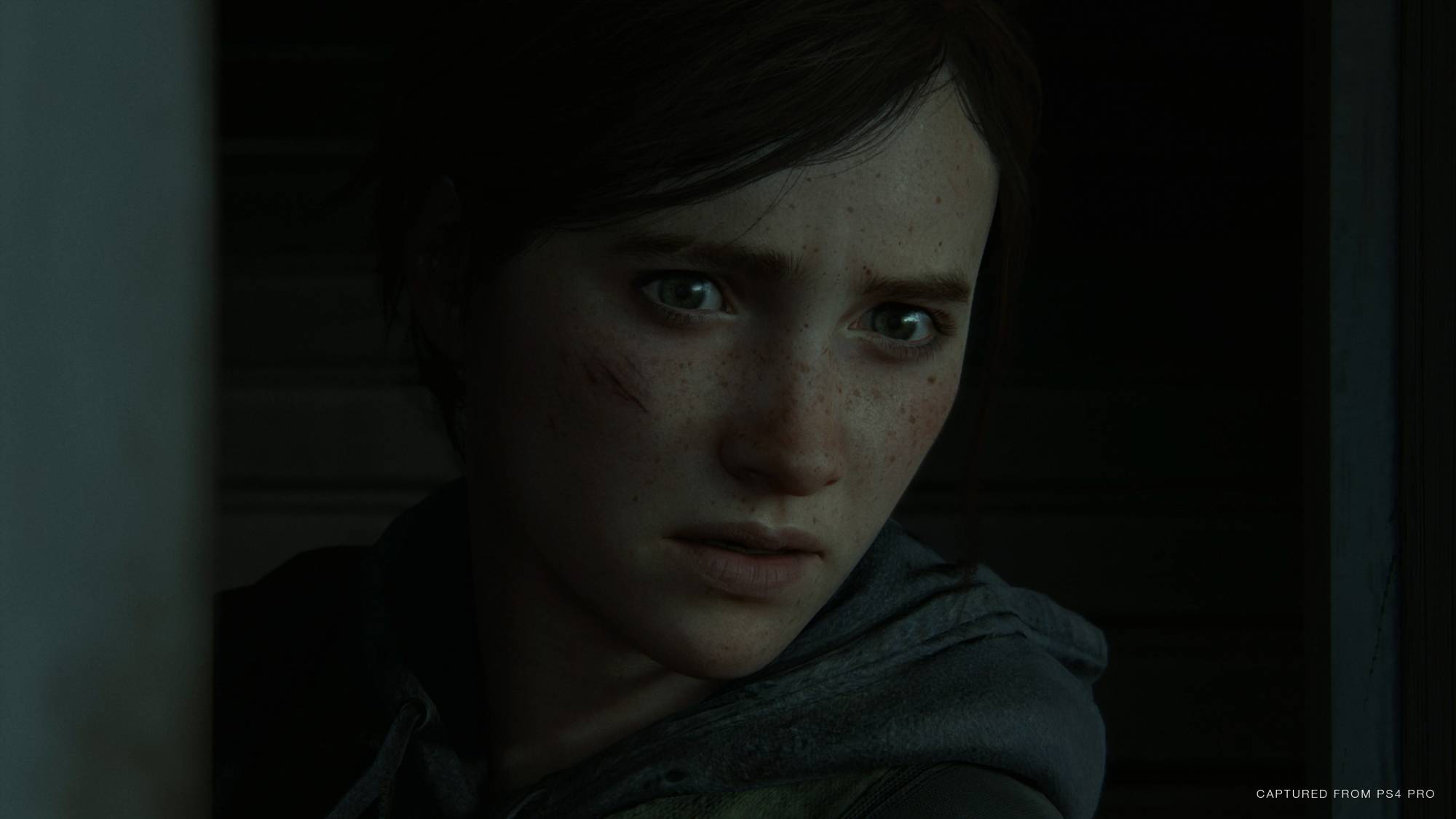 Ellie de the last of us 2