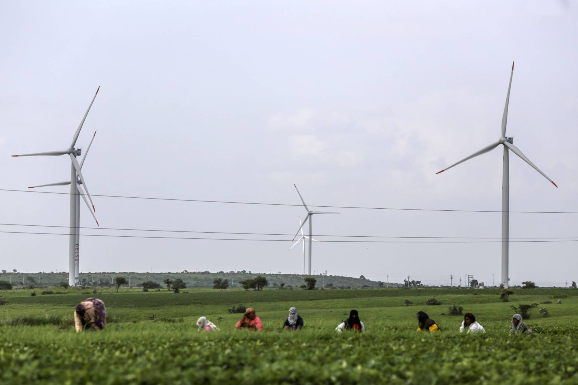 Many of the world's largest publicly held solar and wind companies are failing to meet widely accepted human rights benchmarks. | BLOOMBERG
