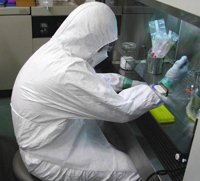 About a dozen technicians and veterinarians are working to process samples for PCR testing at Gifu Prefectural Research Institute for Health and Environmental Sciences in Kakamigahara. | GIFU PREFECTURAL RESEARCH INSTITUTE FOR HEALTH AND ENVIRONMENTAL SCIENCES / VIA CHUNICHI SHIMBUN