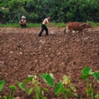 A farmer plows a field last week in Yangshuo county, China.  | REUTERS