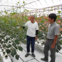 Katsumi Hashimoto (left) president of the Fukushima Seed Center, talks about how he teamed up with two other technology companies to make cucumber farming less labor intensive. | FUKUSHIMA MINPO
