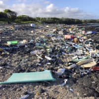 Plastic waste on a beach at Kamilo Point in Naalehu, Hawaii | HAWAII WILDLIFE FUND / VIA AP
