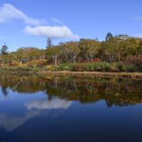 The Shinsen Marsh district is only “open” during certain times of the year and is teeming with wildlife. |  AFP-JIJI
