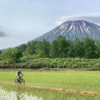 A cyclist on a trail with Mount Yotei in the background. Niseko hosts a variety of competitions and is home to an array of trails for various skill levels. |  AFP-JIJI