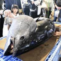 A tuna festival is held in Sakaiminato, Tottori Prefecture, in June 2019. | KYODO